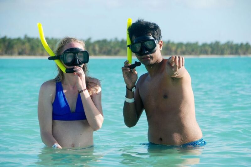 Punta Cana: Catamaran Boat to Saona Island With Buffet Lunch - Itinerary and Highlights