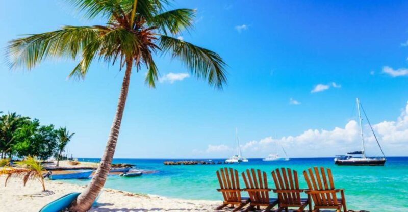 Punta Cana: Catamaran Boat to Saona Island With Buffet Lunch - Included Amenities