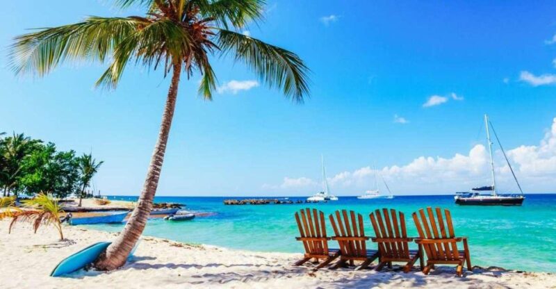 Punta Cana: Catamaran Boat to Saona Island With Buffet Lunch - Key Points