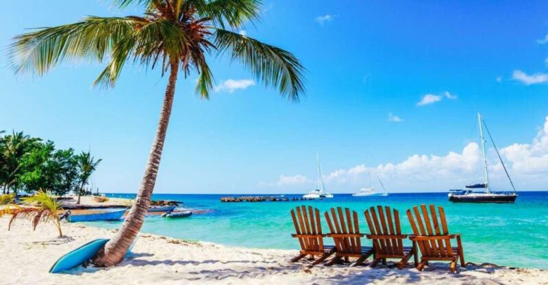 Punta Cana: Catamaran Boat to Saona Island With Buffet Lunch - Highlights of the Experience