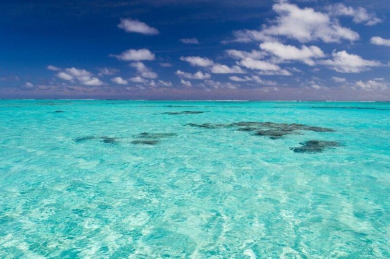 Punta Cana: Catamaran Boat to Saona Island With Buffet Lunch - Whats Included in the Tour