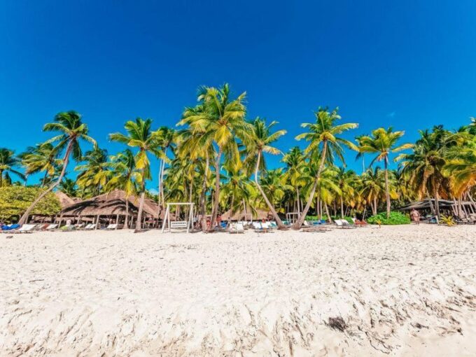 Punta Cana: Catamaran Boat to Saona Island With Buffet Lunch - Dining and Refreshments