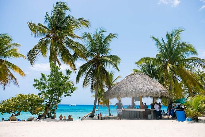 Punta Cana: Catamaran Boat to Saona Island With Buffet Lunch - Tour Overview