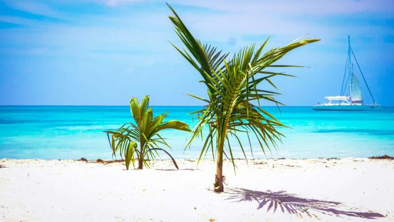 Punta Cana: Catamaran Boat to Saona Island with Buffet Lunch - Who Would Enjoy This Tour?