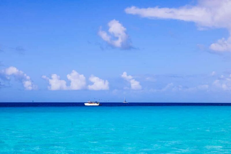 Punta Cana: Catamaran Boat to Saona Island with Buffet Lunch - The Sum Up