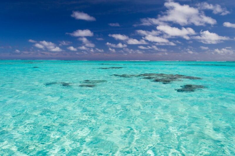 Punta Cana: Catamaran Boat to Saona Island With Buffet Lunch - Key Points