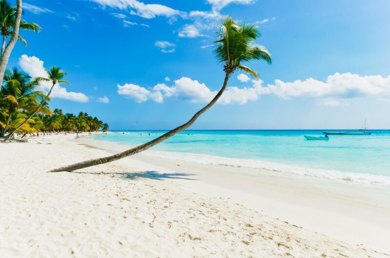 Punta Cana: Catamaran Boat to Saona Island With Buffet Lunch - Saona Island Highlights