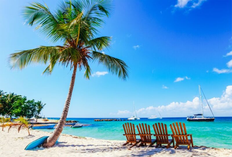 Punta Cana: Catamaran Boat to Saona Island With Buffet Lunch - Customer Feedback