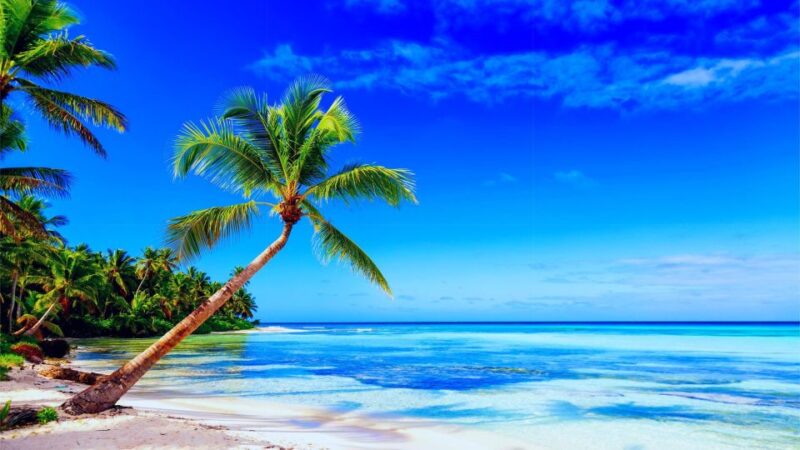 Punta Cana: Catamaran Day Trip to Catalina Island With Lunch - Key Points
