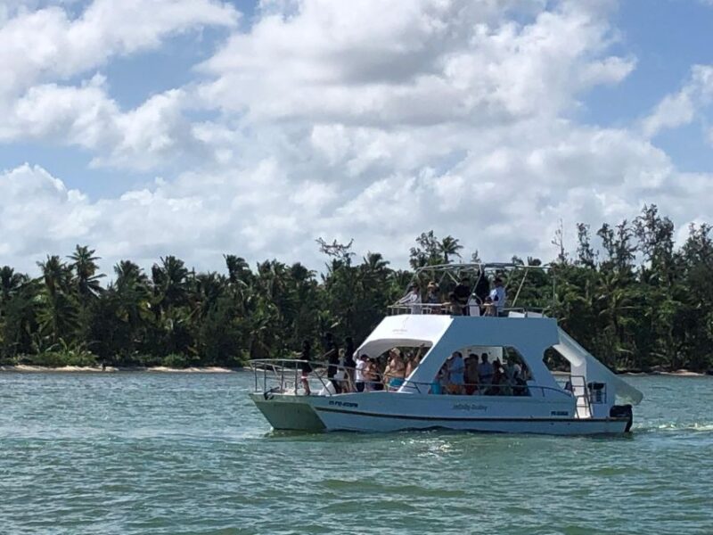 Punta Cana: Catamaran Party Tour With Snorkeling and Lunch - Marine Conservation