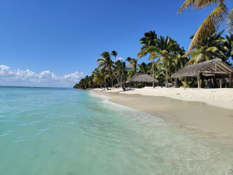 Punta Cana: Catamaran Tour to Saona Island All Inclusive - Key Points