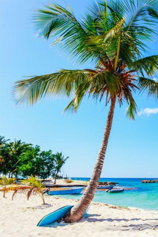 Punta Cana: Catamaran Tour to Saona Island All Inclusive - Customer Reviews