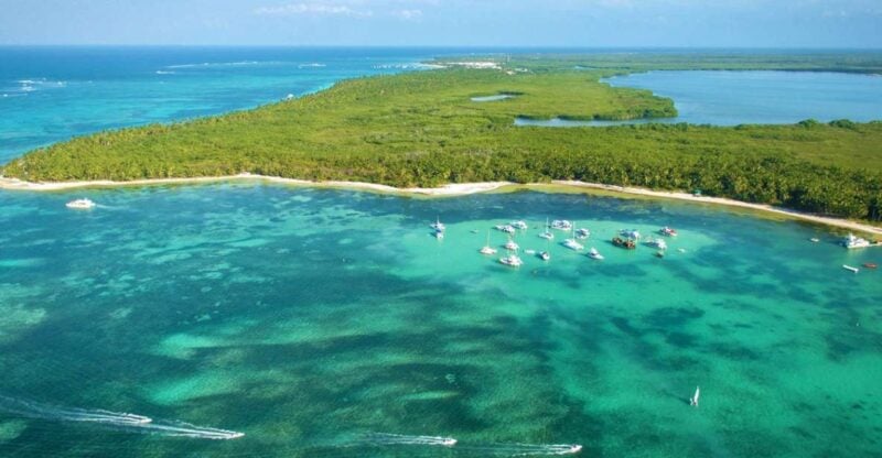 Punta Cana: Catamaran Tour With Food and Drinks - Key Points