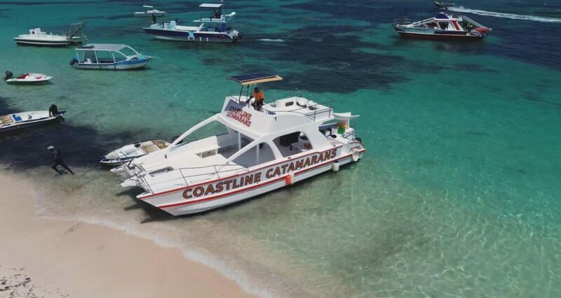 Punta Cana: Catamaran Tour with Reef Snorkeling and Open Bar - Key Points