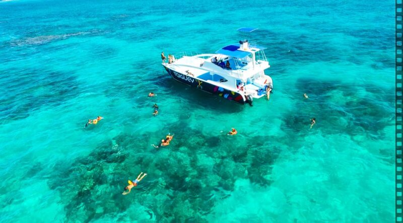 Punta Cana: Catamaran Tour With Taiguey Emotion Show - Key Points