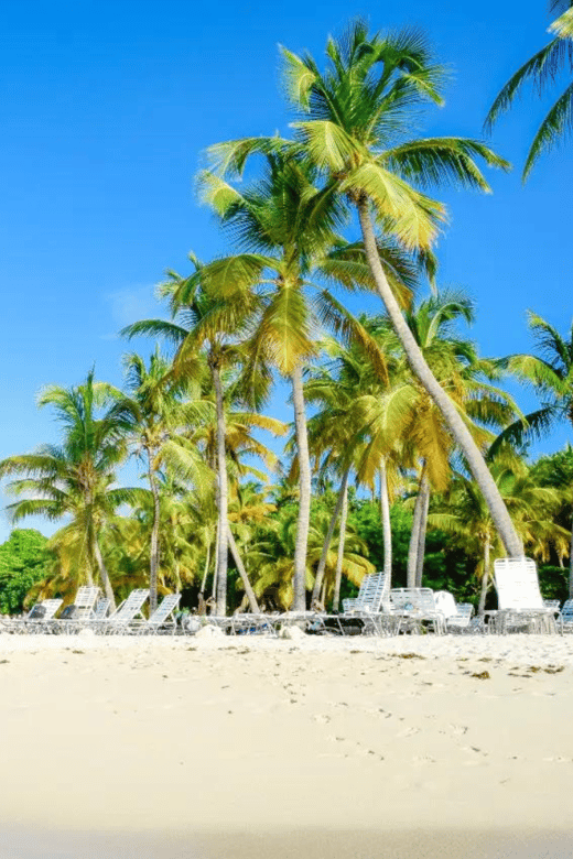 Punta Cana: Cayo Levantado & Bacardi Island Trip With Lunch - Itinerary Highlights