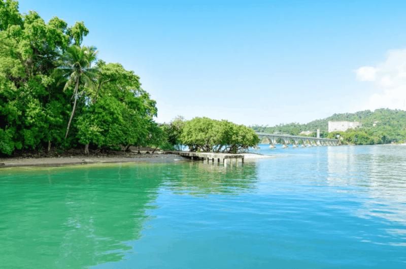 Punta Cana: Cayo Levantado & Bacardi Island Trip With Lunch - Included Services