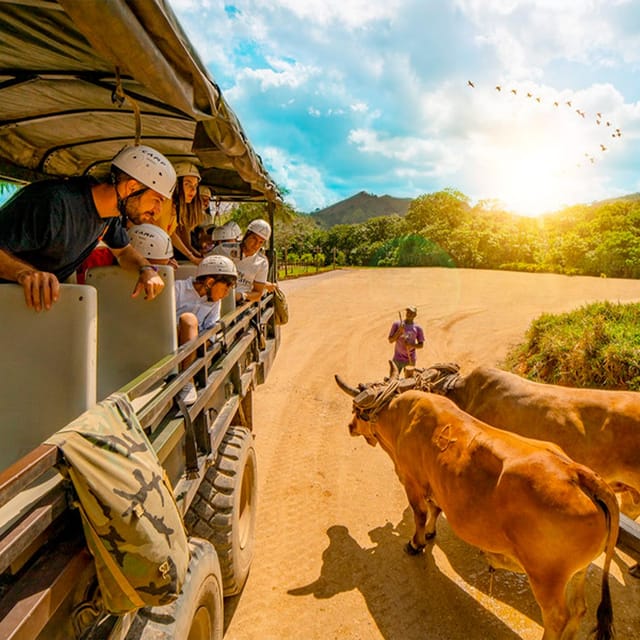 Punta Cana Cultural Tour History, Traditions and Flavors - Important Information and Restrictions