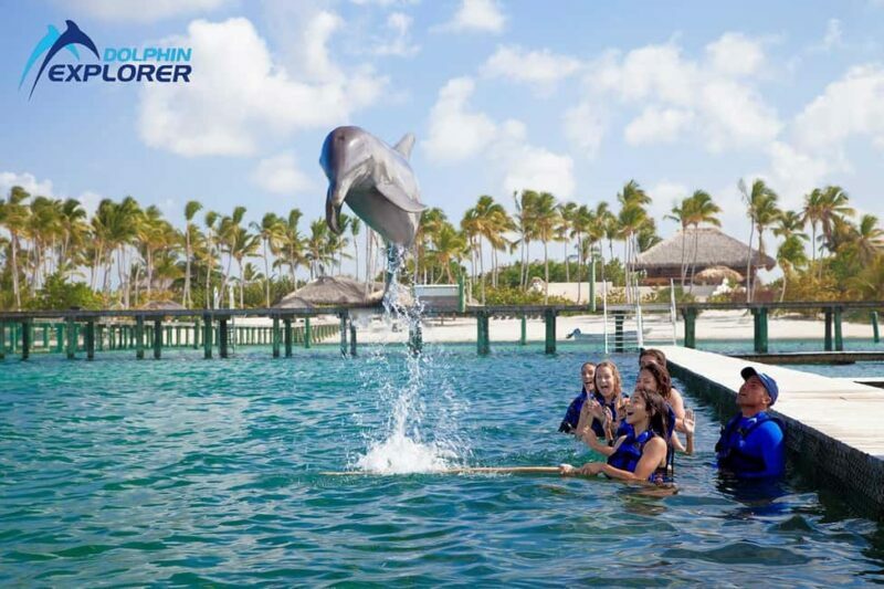 Punta Cana Dolphin Adventure: 40-Minute Interaction - An Honest Look at the Experience