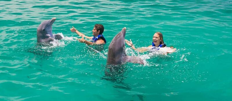 Punta Cana Dolphin Adventure: 40-Minute Interaction - Who Should Consider this Tour?