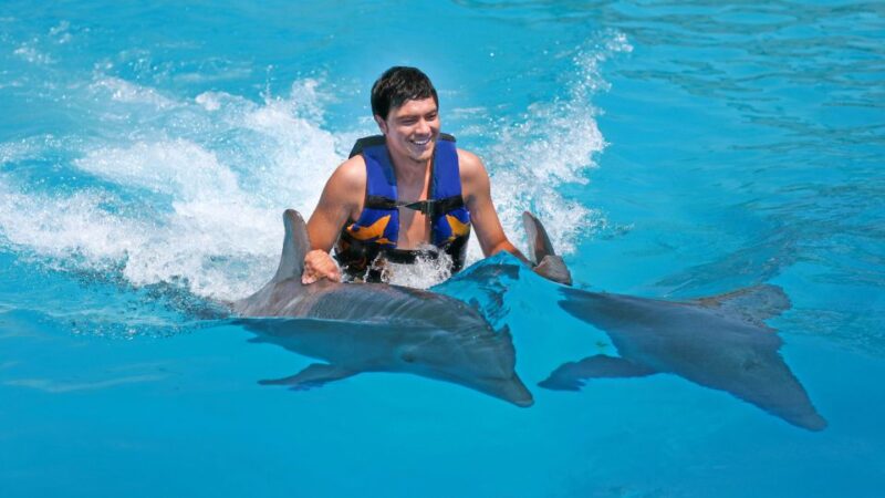 Punta Cana: Dolphin Discovery Swims and Encounters - Participant Guidelines