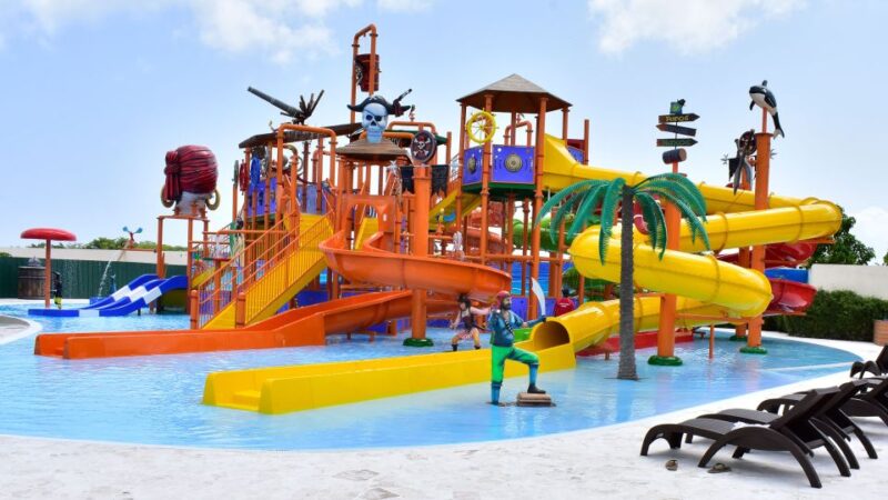 Punta Cana: Dolphin Discovery Swims and Encounters - Customer Reviews and Feedback