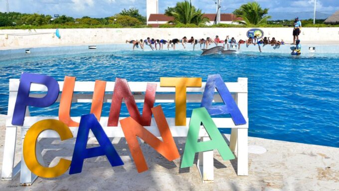 Punta Cana: Dolphin Discovery Swims and Encounters - Dolphin Conservation Efforts