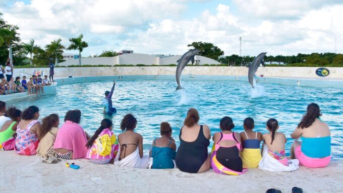 Punta Cana: Dolphin Discovery Swims and Encounters - Frequently Asked Questions