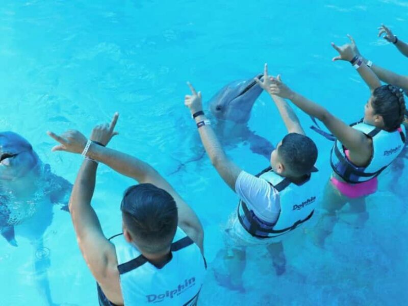 Punta Cana: Dolphin Explorer Park Entry, Swim, or Encounter - The Realities from Reviews