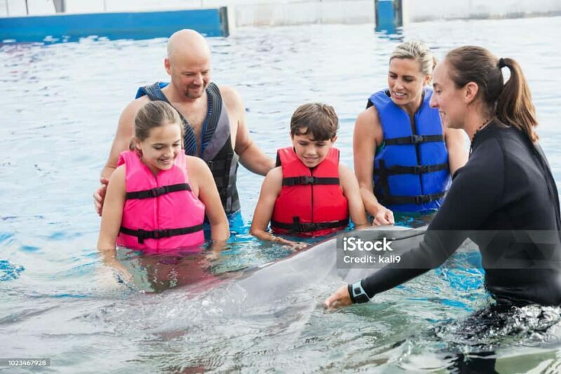 Punta Cana: Dolphin Explorer Park Entry, Swim, or Encounter - Who Will Enjoy This Experience?