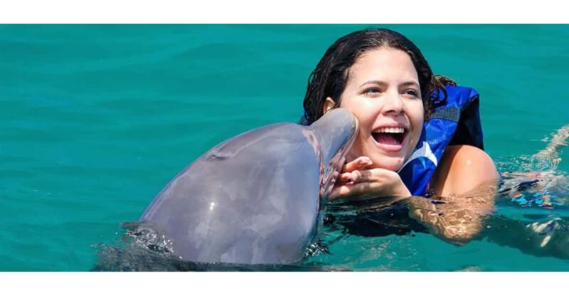 Punta Cana: Dolphin Explorer Swims and Encounters - Key Points