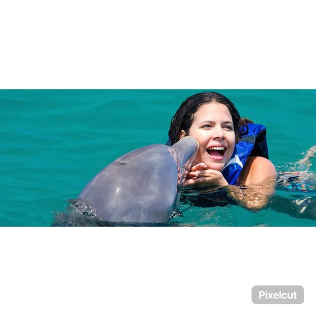 Punta Cana: Dolphin Explorer Swims and Encounters - Important Information