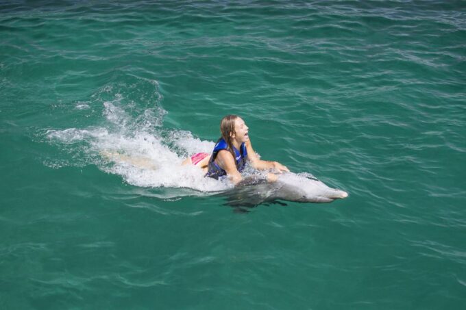 Punta Cana: Dolphin Explorer Swims and Interactions - Customer Feedback