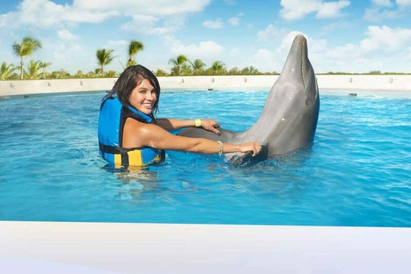 Punta Cana: Dolphin Interaction Experience & Hotel Transfers - The Sum Up: Is It Worth It?