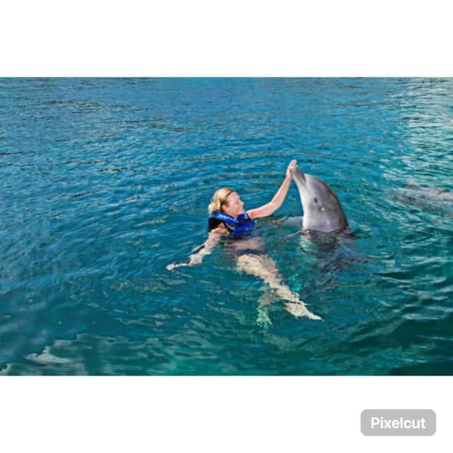 Punta Cana: Dolphin Park Entry and Swim with Dolphins - What to Expect from the Dolphin Park Experience