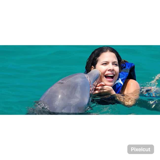 Punta Cana: Dolphin Park Entry and Swim with Dolphins - Authentic Experiences and Real Traveler Feedback
