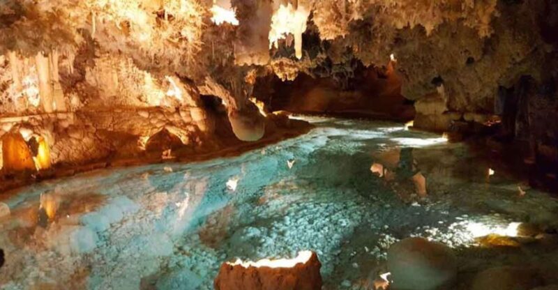 Punta Cana: Dominican Flavors Guided Day Trip - Participant Requirements