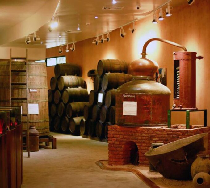 Punta Cana: Dominican Flavors Guided Day Trip - Tobacco Production and Cigar Factory