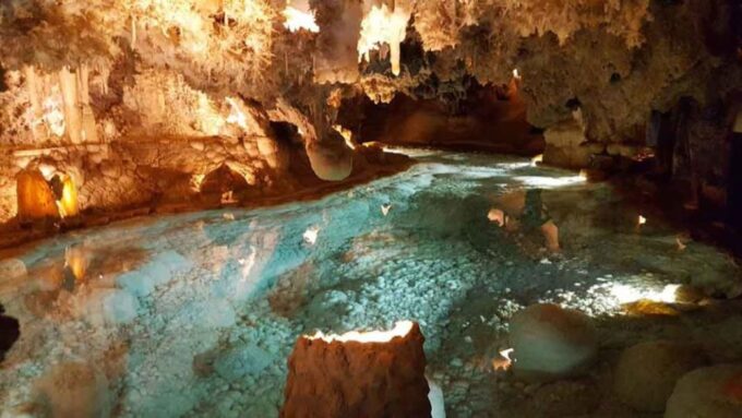 Punta Cana: Dominican Flavors Guided Day Trip - Chocolate Production and Factory