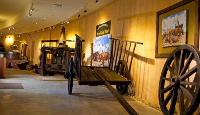 Punta Cana: Dominican Flavors Guided Day Trip - Frequently Asked Questions