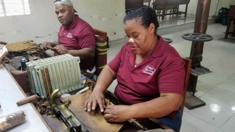 Punta Cana: Don Lucas Cigar, Chocolate, & Rum Tour - What You Can Expect from the Tour