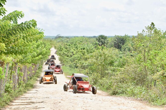 Punta Cana: Ecological Adventure in Buggies From Santo Domingo - Buggy Inclusions and Features