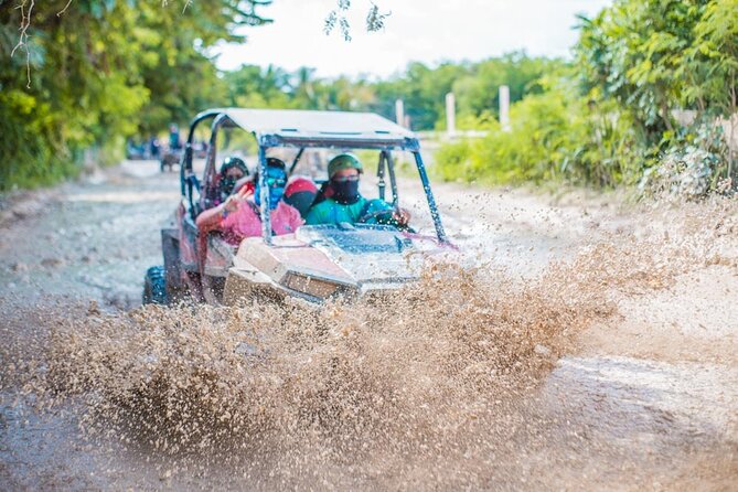 Punta Cana: Exclusive Buggy Adventure- Beach & Jungle Small Group - Exploring the Coffee and Cocoa House