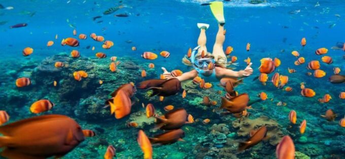 Punta Cana Excursions & Tours - Punta Cana Adventures - Frequently Asked Questions