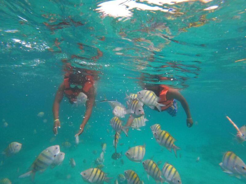 Punta Cana Explore Catalina Island and Snorkeling Adventure - Snorkeling and Safety