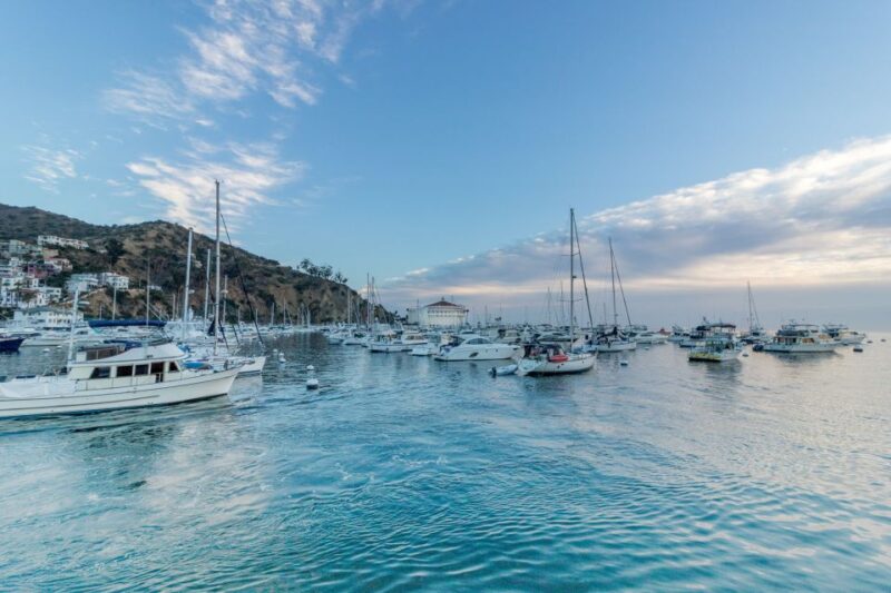 Punta Cana: Full Day Boat Trip to Catalina Island With Lunch - Itinerary and Activities
