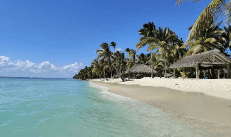 Punta Cana: Full Day Excursions Saona Island Catamaran - Tour Highlights