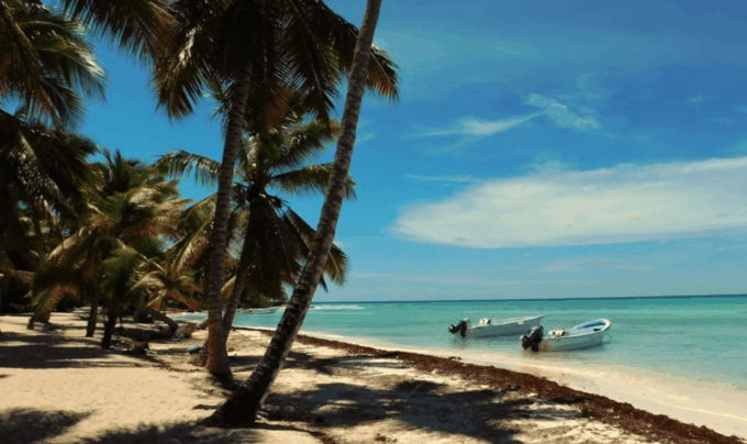 Punta Cana: Full Day Excursions Saona Island Catamaran - Booking Information