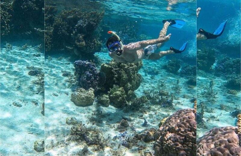 Punta Cana: Full-day Snorkelling Tour in Catalina Island - Key Points