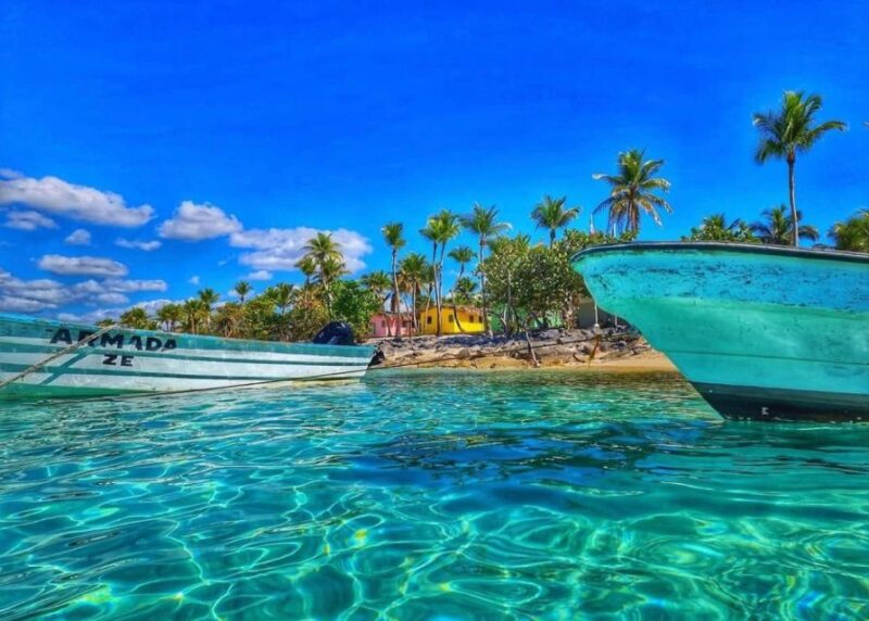 Punta Cana: Full-day Snorkelling Tour in Catalina Island - Frequently Asked Questions